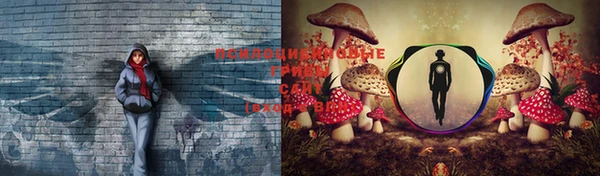 прущие крисы Арсеньев
